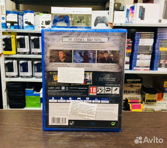 Life is Strange 2 для PS4 (Русская версия) Life is Strange 2 для PS4 (Русская версия)
