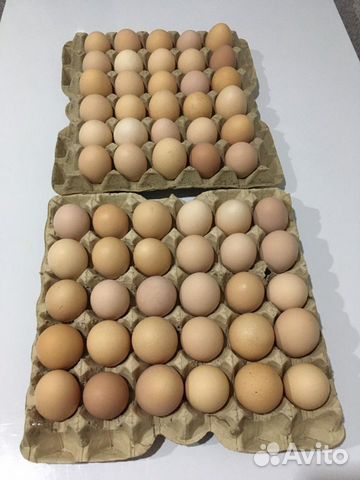 Купить Яйцо На Инкубацию В Самаре