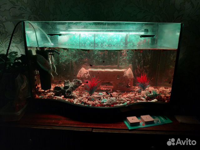 Украшение для аквариума купить на Зозу.ру - фотография № 1