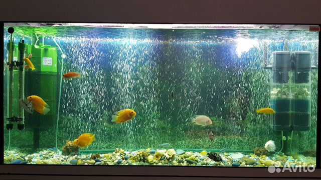 Лампа в аквариум купить на Зозу.ру - фотография № 2