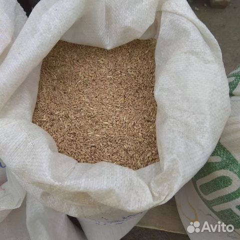 Пшеница в мешках купить на Зозу.ру - фотография № 4