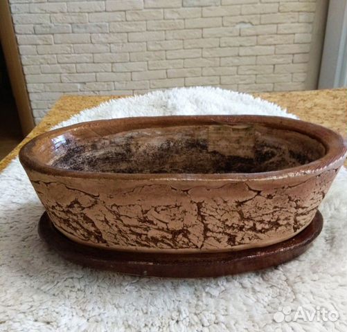 Горшок керамический, кашпо Горшок керамический, кашпо