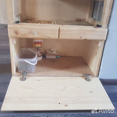 Отдам шиншиллу в хорошие руки Отдам шиншиллу в хорошие руки