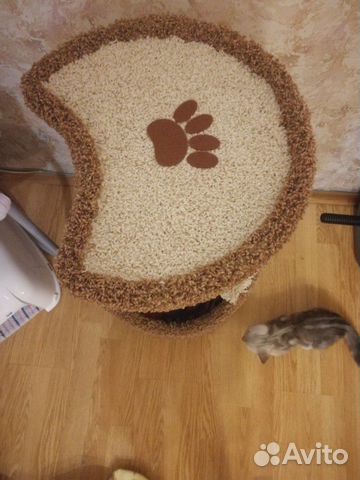 Дом для кошки Дом для кошки