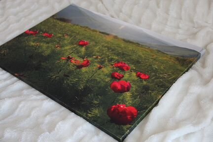 Фотокартина на холсте 