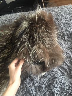 Шуба чернобурка цельная