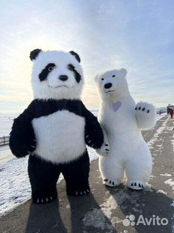 Поздравление Белого Мишки,Панды,Зайки