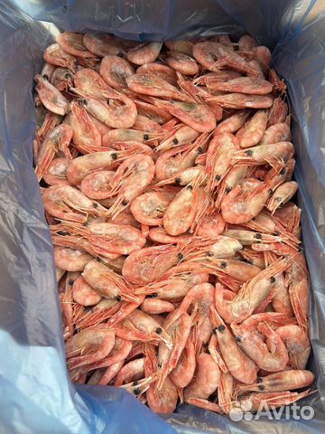 Креветка северная 5 кг