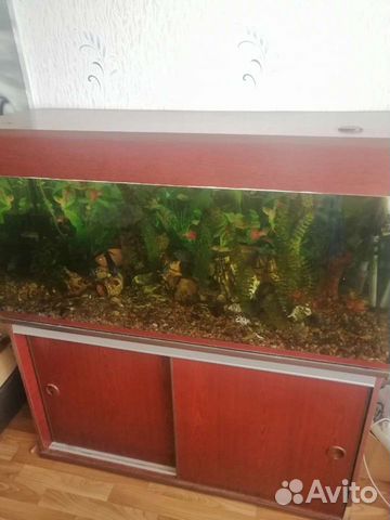 Аквариум