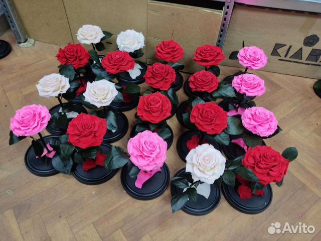 Роза в колбе