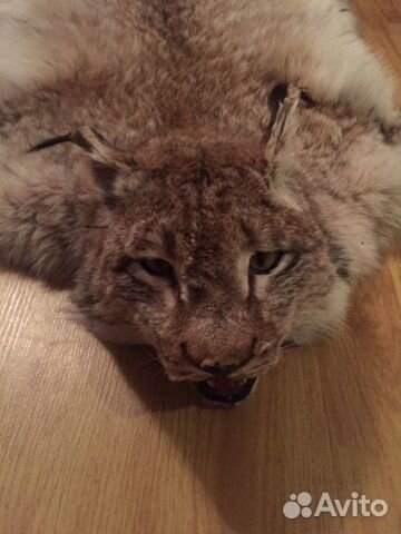 Шкура рыси (имитация)