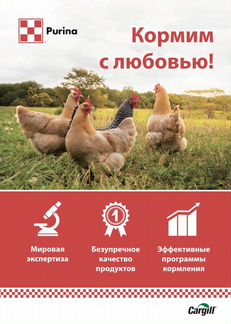Purina пурина аналог мегакорма