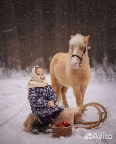 Пони на Ваш праздник