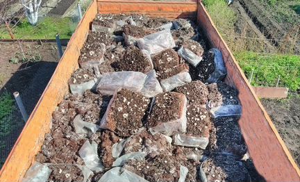 Компост отработанный от шампиньонов