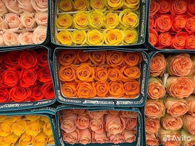 Цветы оптом. Розы. Букеты. Доставка