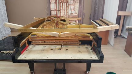 Ремонт, реставрация, настройка муз. инструментов