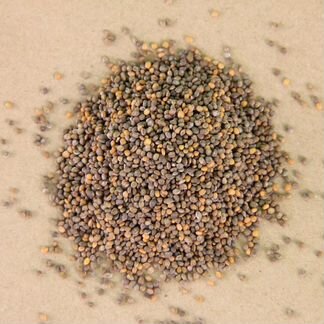 Семена для микрозелени / проростков