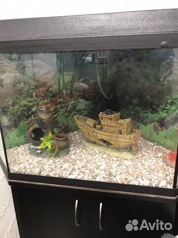 Аквариум с тумбой 70 л