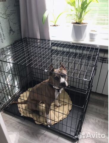 Клетка для собак и кошек металлические