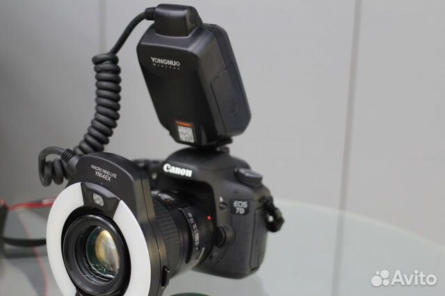 Макро Canon 7D +Tamron 90mm/2.8 +вспышка