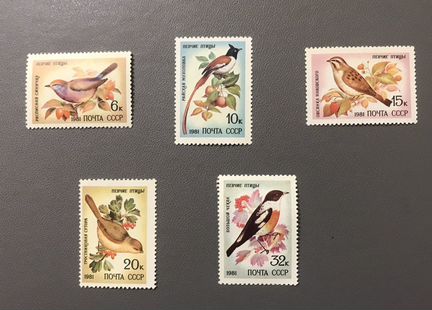 Певчие птицы