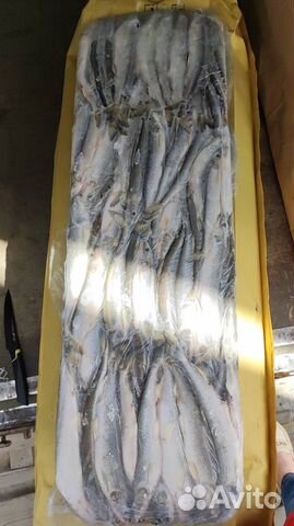 Корюшка с/м 21- 25 22 кг торгуем от брикета