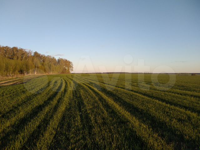 Участок 8,8 га (СНТ, ДНП) на продажу в Луховицах | Продажа земельных ...