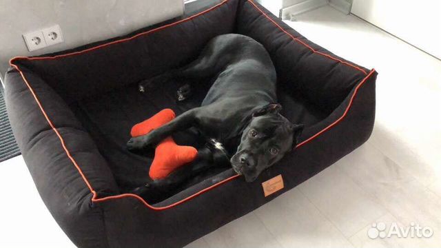 Лежанка (диван, лежак, матрас, подстилка для собак