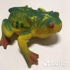 Обзор аквапарка "Московская лягушка" на Вентспилсском пляже