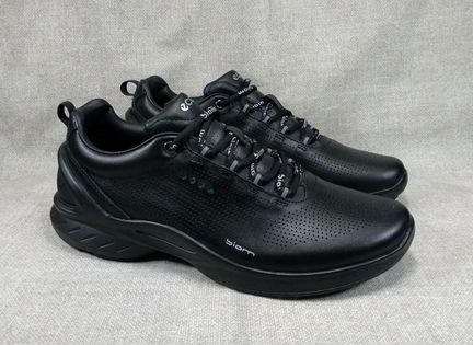 Ecco biom fjuel