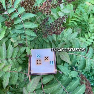 Кости (Зарики) серебрянные для нард