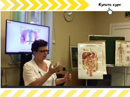 Ольга Шишова - Профилактика и восстановление здоро