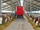 Тракторист на молочную ферму объявление продам