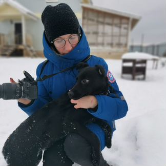 Щенок в добрые руки
