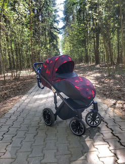 Детская коляска Anex Sport 3 в 1 (цвет Arch R)