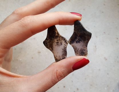 Пейзажный агат. пара кабошонов на серьги. 25,05 к