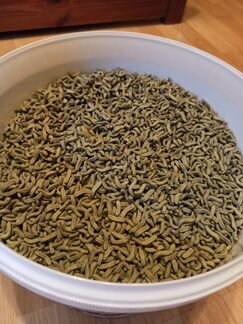 Корм для черепах Tetra Reptomin