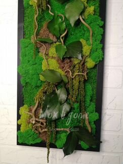 Фитокартина