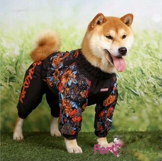 Дождевик «Цветы» для собак A0-D3