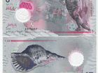 Полимерная банкнота 5 руфий, Мальдивы, футбол
