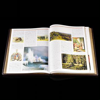 Подарочная книга