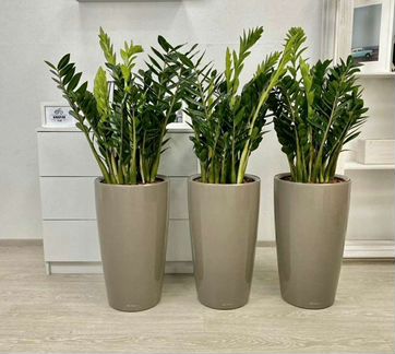 Кашпо рондо 32 с автополивом