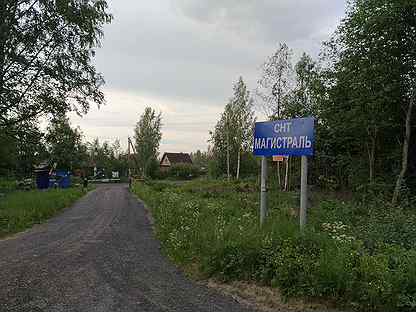 Снт строитель антропшино. Садоводство магистраль. История садоводства. Садоводство чаща. Снт разлив спб.