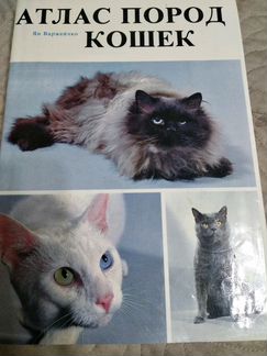 Атлас пород кошек