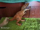 Динозавр тиранозавр мир юрского периода