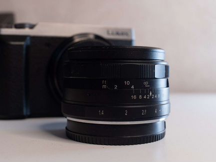 Panasonic Lumix GX80/85