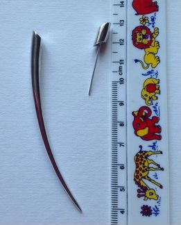 Серьга клык серебряный