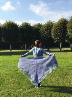 Новогодний подарок.Шаль