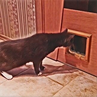 Котоход. дверцы Барсик (дверь, дверца) для кошек