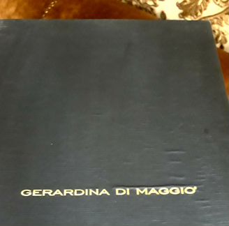 Замшевые сапоги Gerardina di Maggio